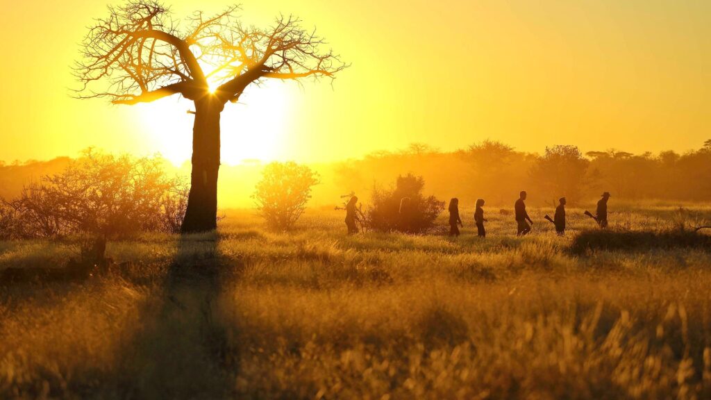 Ruaha National Park
