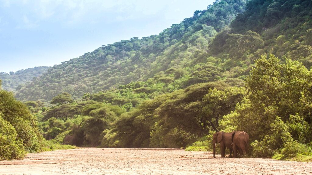 Lake Manyara National Park