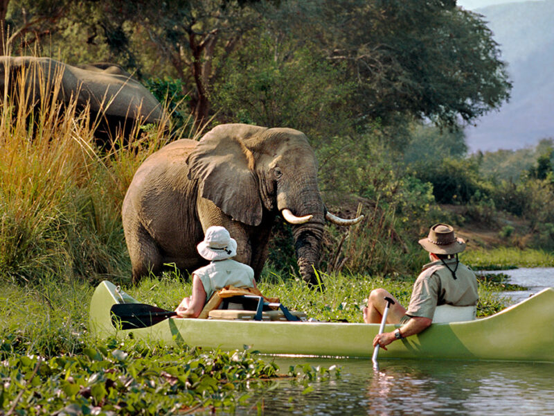 Encounter elephants while on a canoe with our Tanzania Safari tours