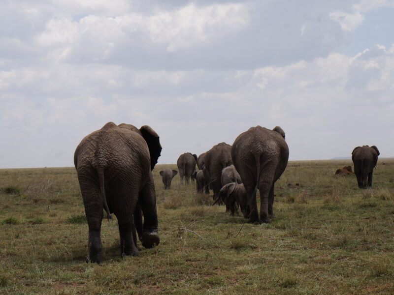 Tanzania